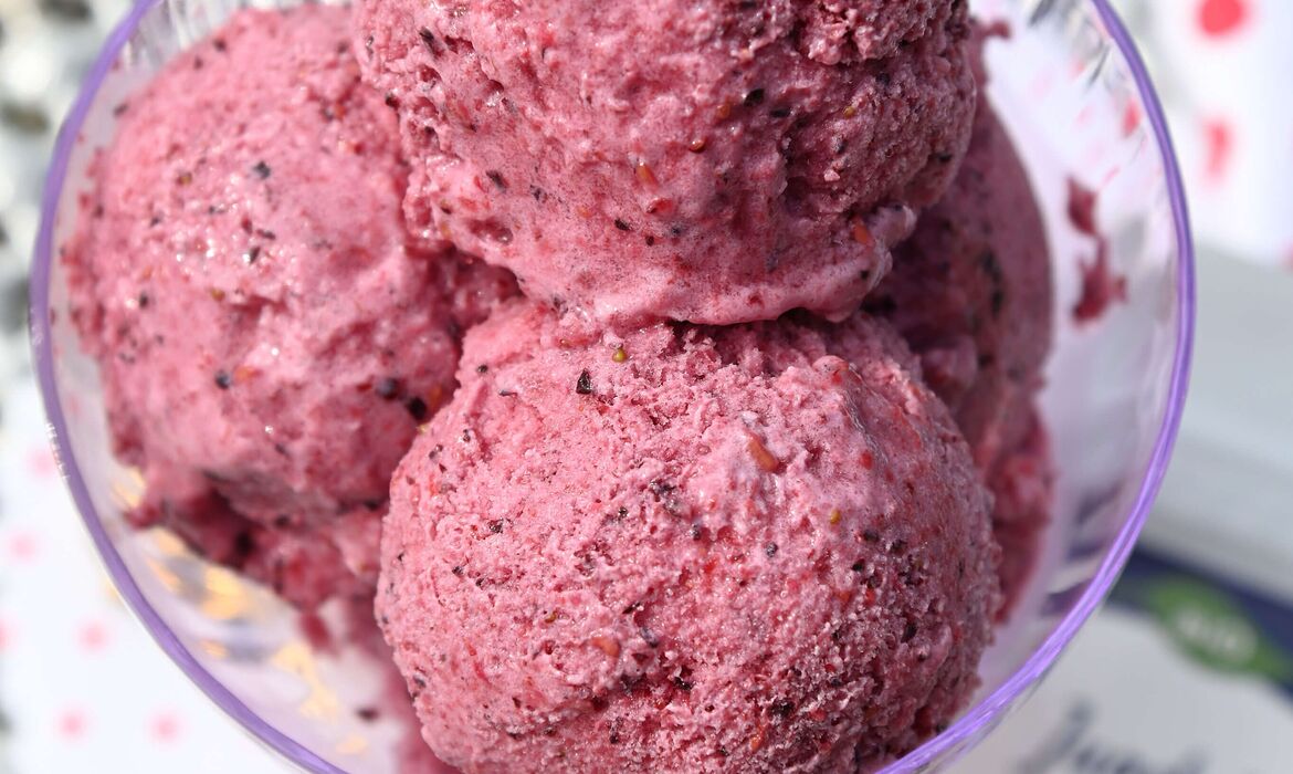 Homemade ice cream with assorted black berries