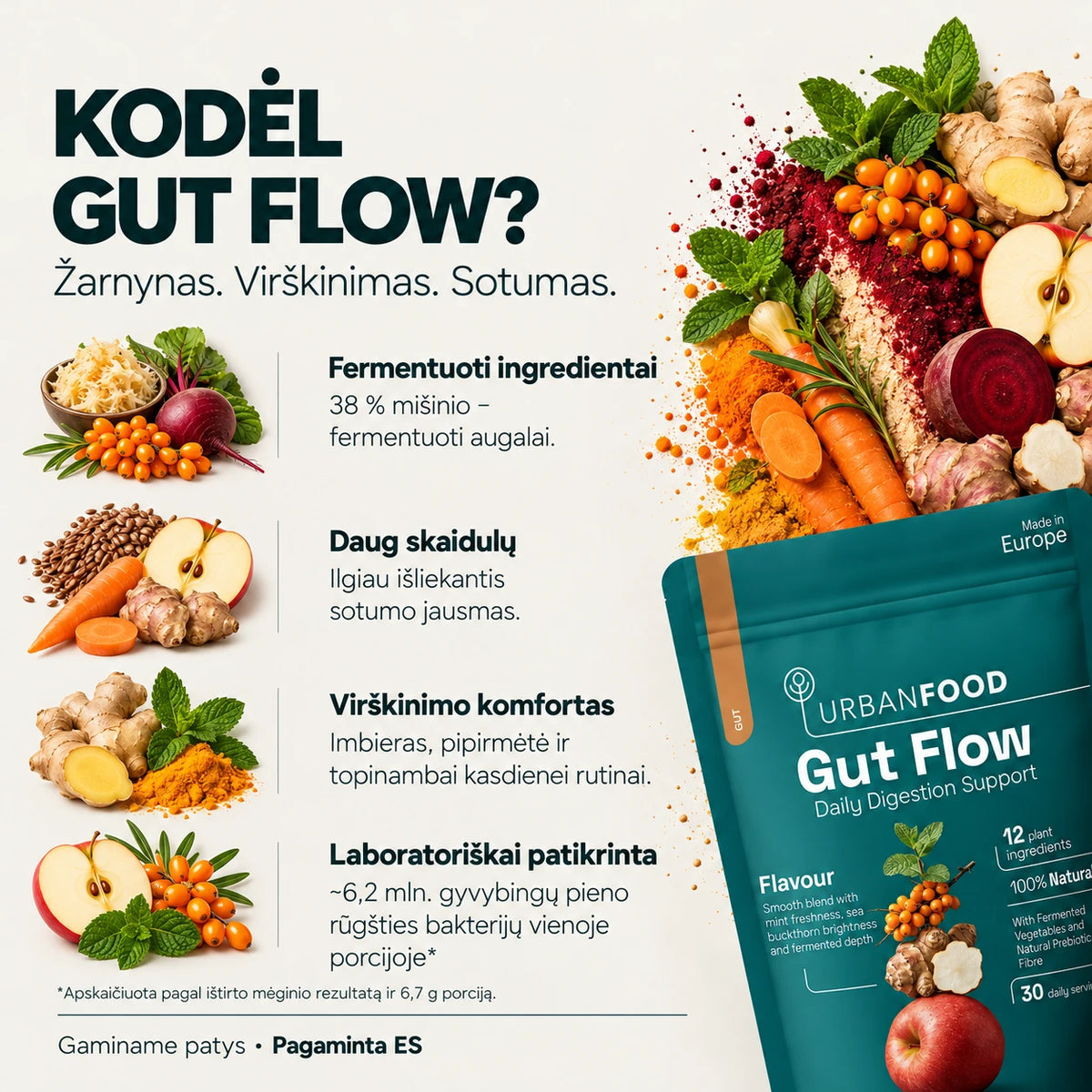 Gut Flow
