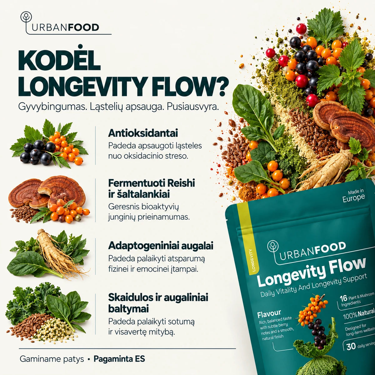 Longevity Flow