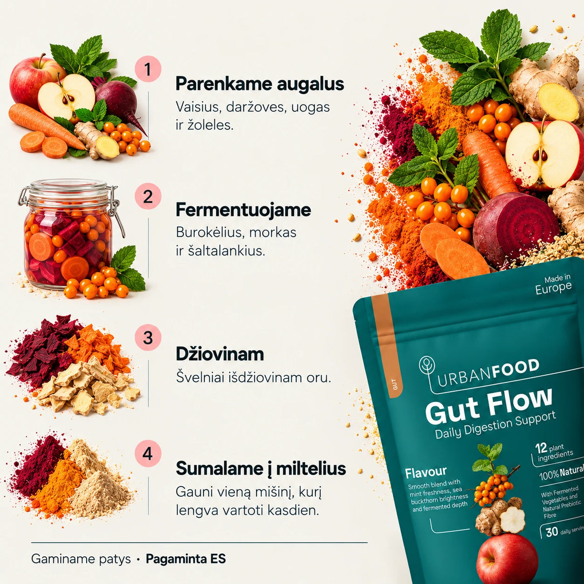 Gut Flow