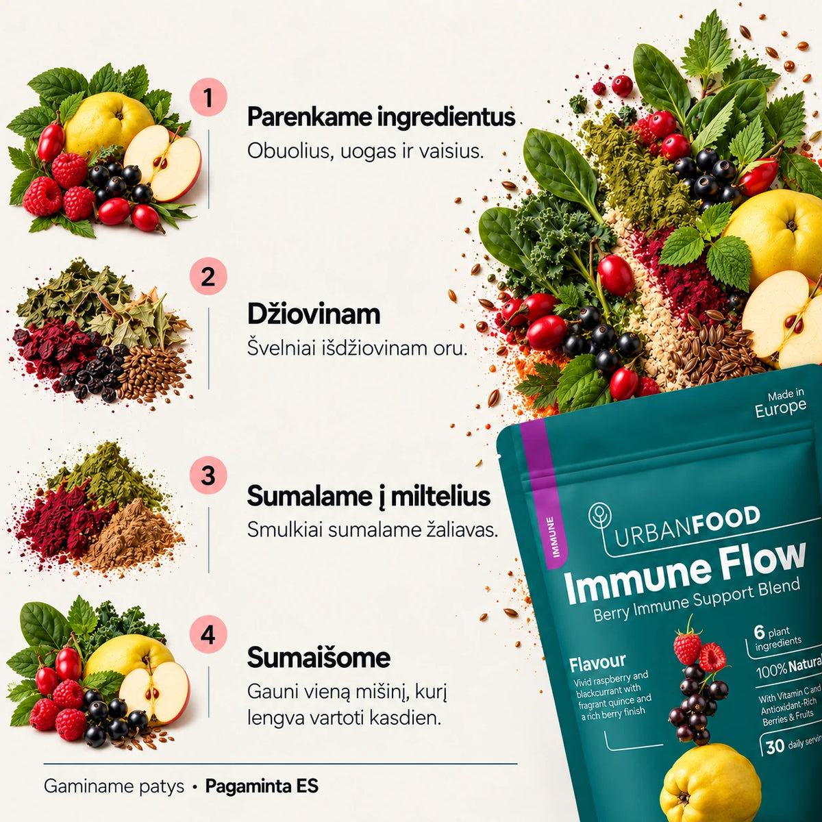 Immune Flow