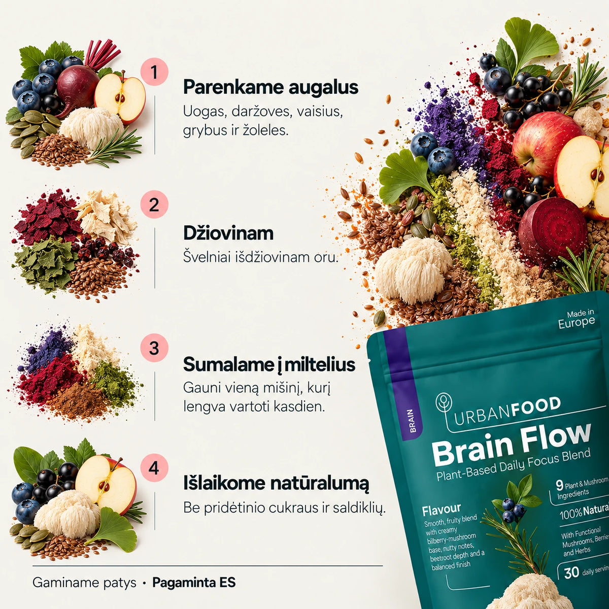 Brain Flow