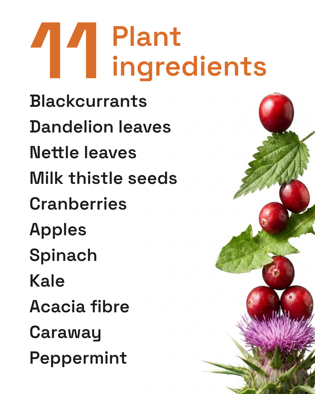 Detox Flow