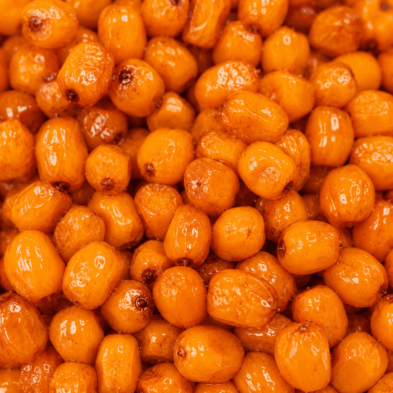Fermentuotos šaltalankių uogos