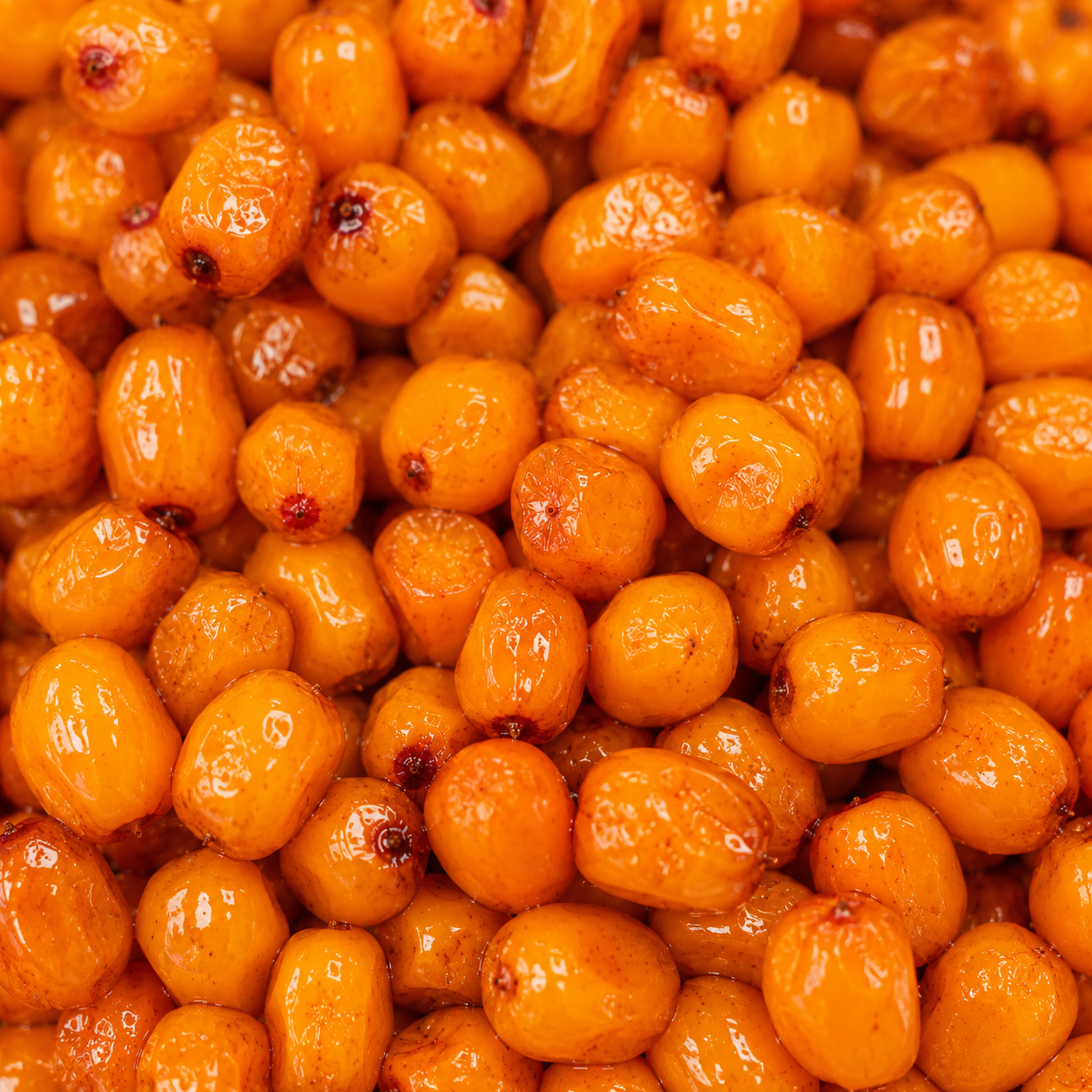Close-up of fermented sea buckthorn berries showing their bright orange color and glossy surface.